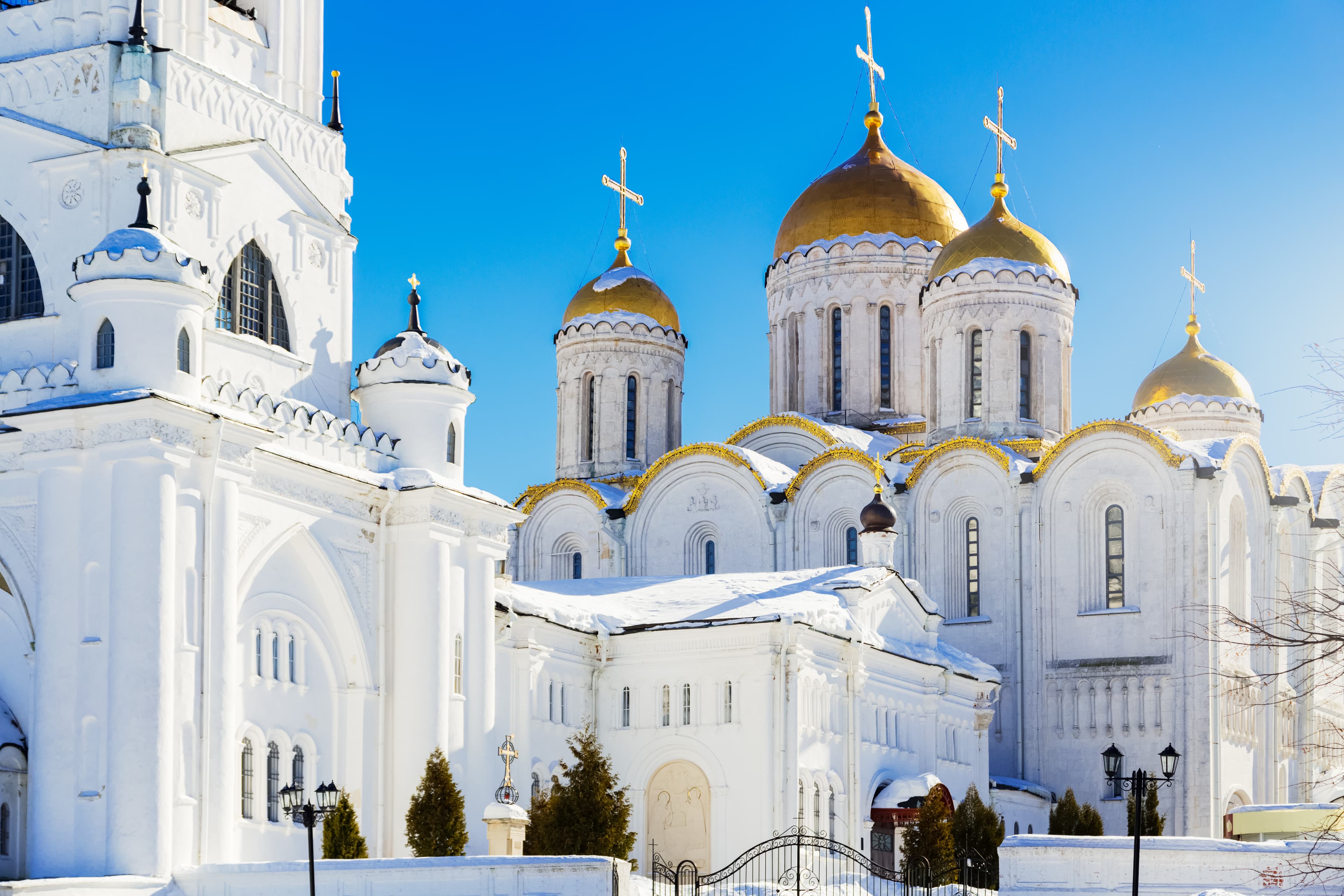 Владимир — первое знакомство