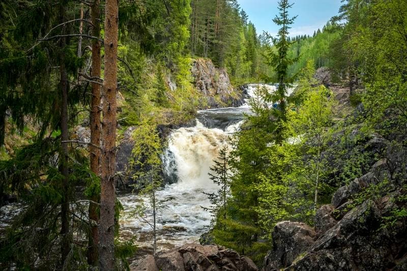 Водная стихия Карелии: от Онеги до Ладоги с проживанием в загородном комплексе