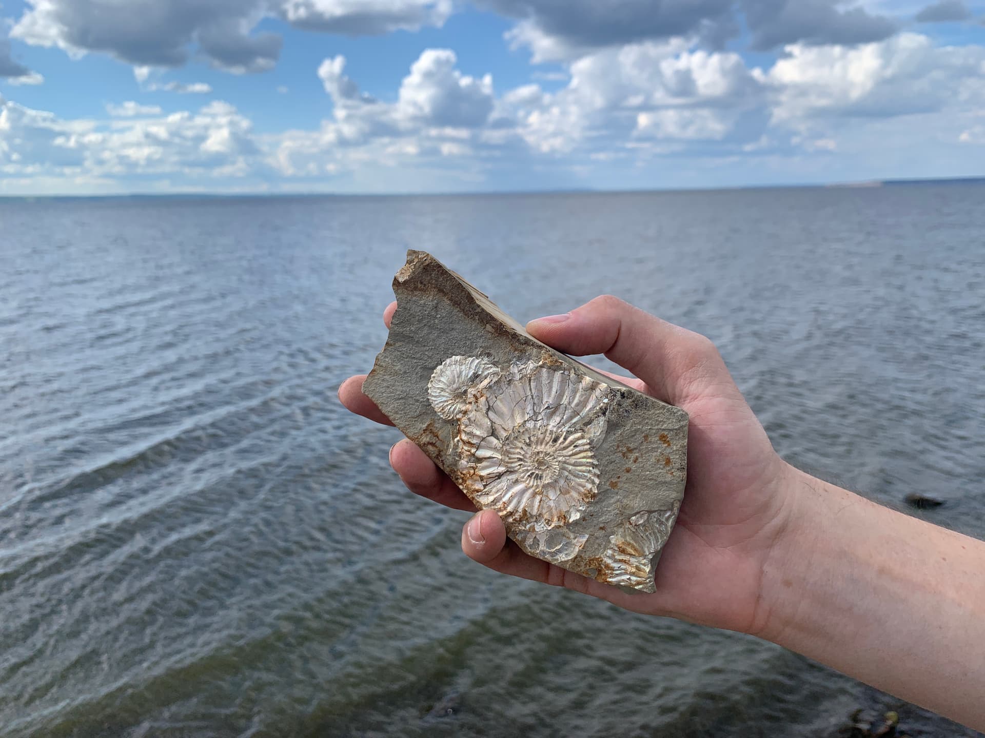 Целебная вода Ундор и динозавры Поволжья