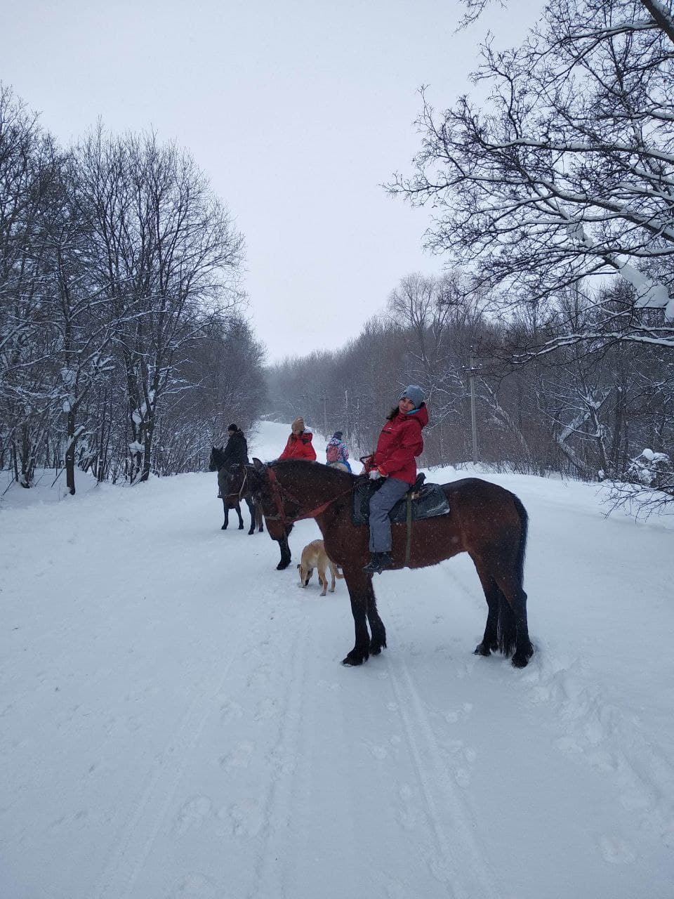 Конная прогулка в окрестностях Уфы