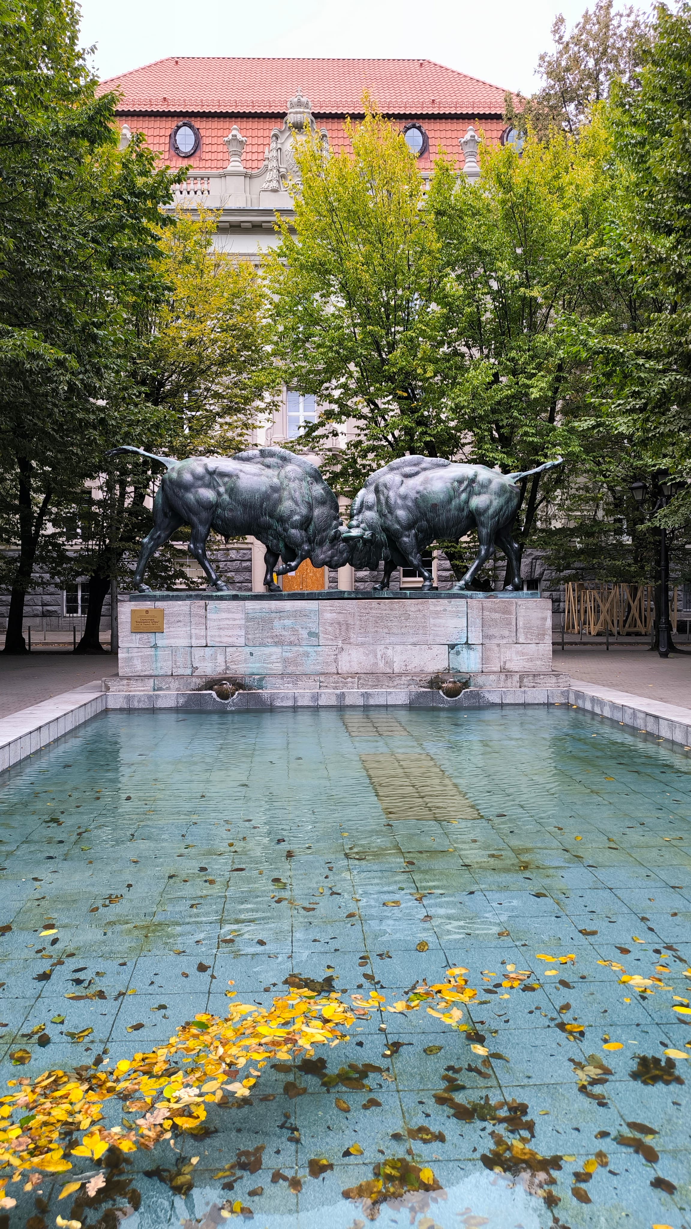Влюбиться в Калининград