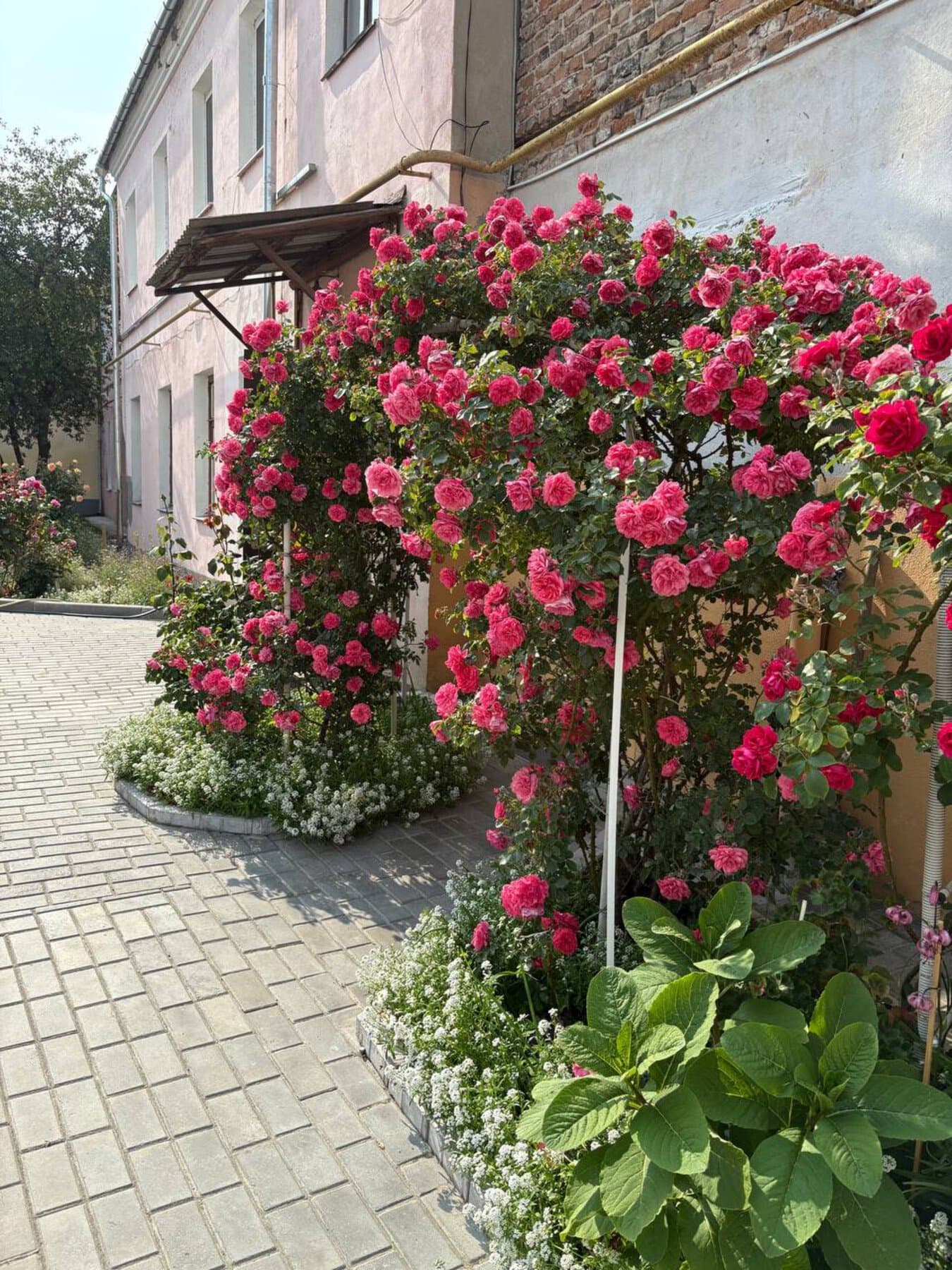 Брест на ладони: уютный маршрут