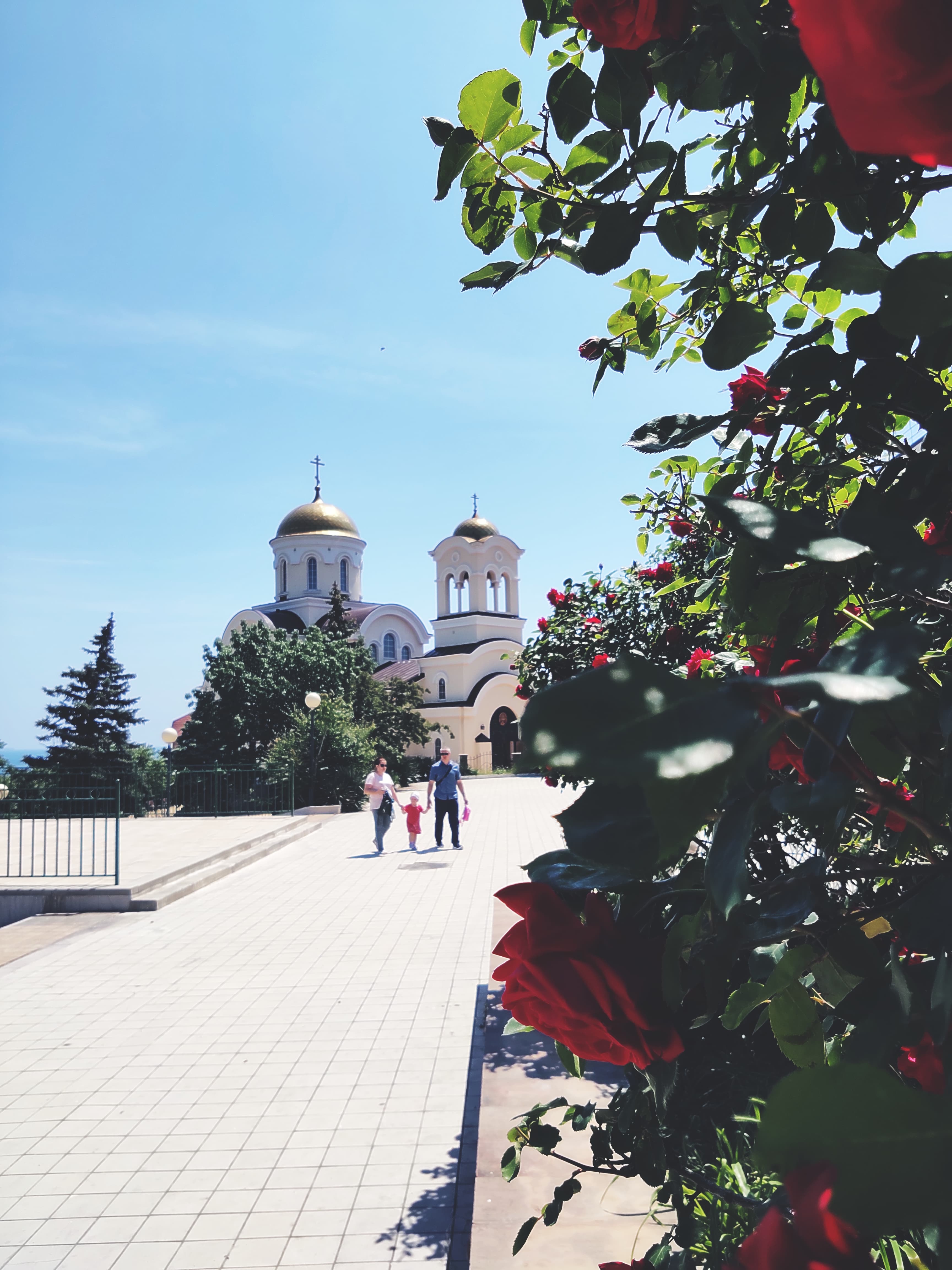 Многогранный Новороссийск и винодельни «Мысхако», «Шато Пино»