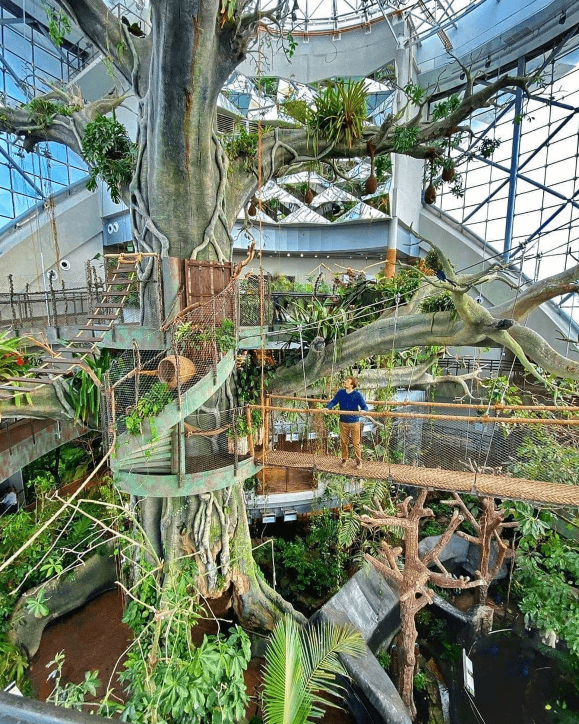 Трансфер в Dubai Safari Park и тропический лес Green Planet