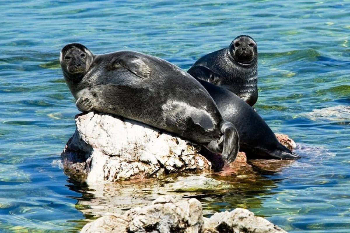 На выходные по шаманским местам и островам Малого Моря Байкала: сплав на лодках (палатки)