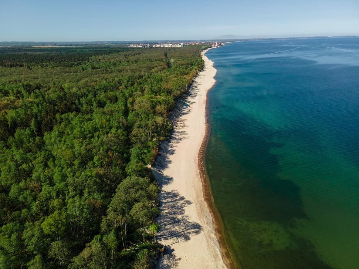 Куршская коса вдоль и поперёк