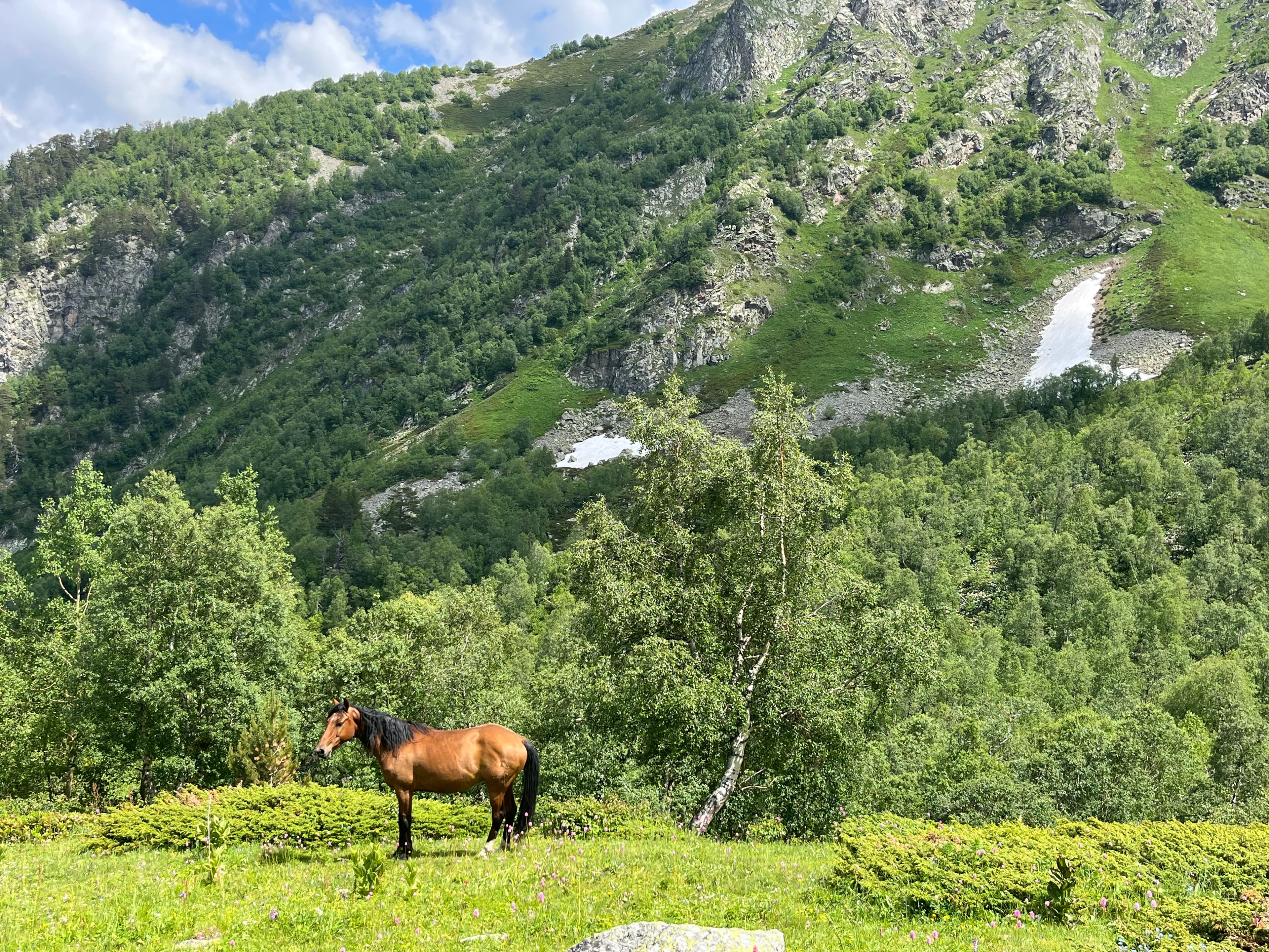 Конная прогулка в Джамагатском ущелье