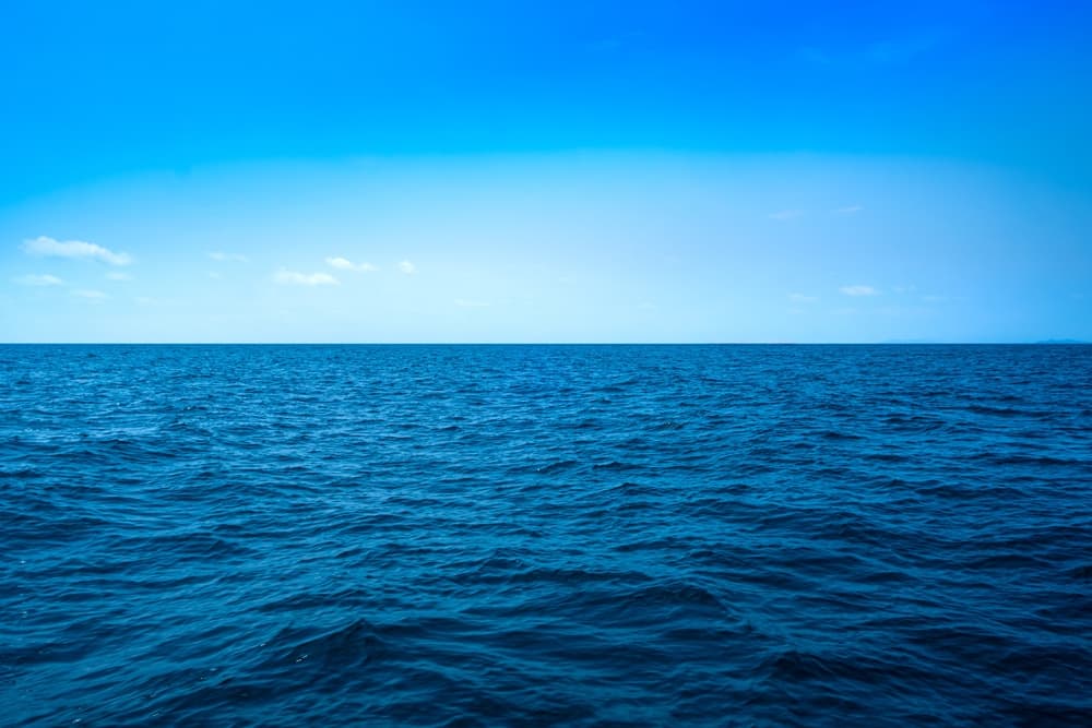 Галвестон – В море – Коста Майя – Исла-Де-Роатан – Косумель – В море – Галвестон