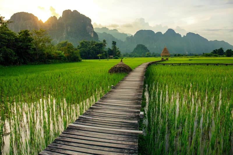 Vientiane Province