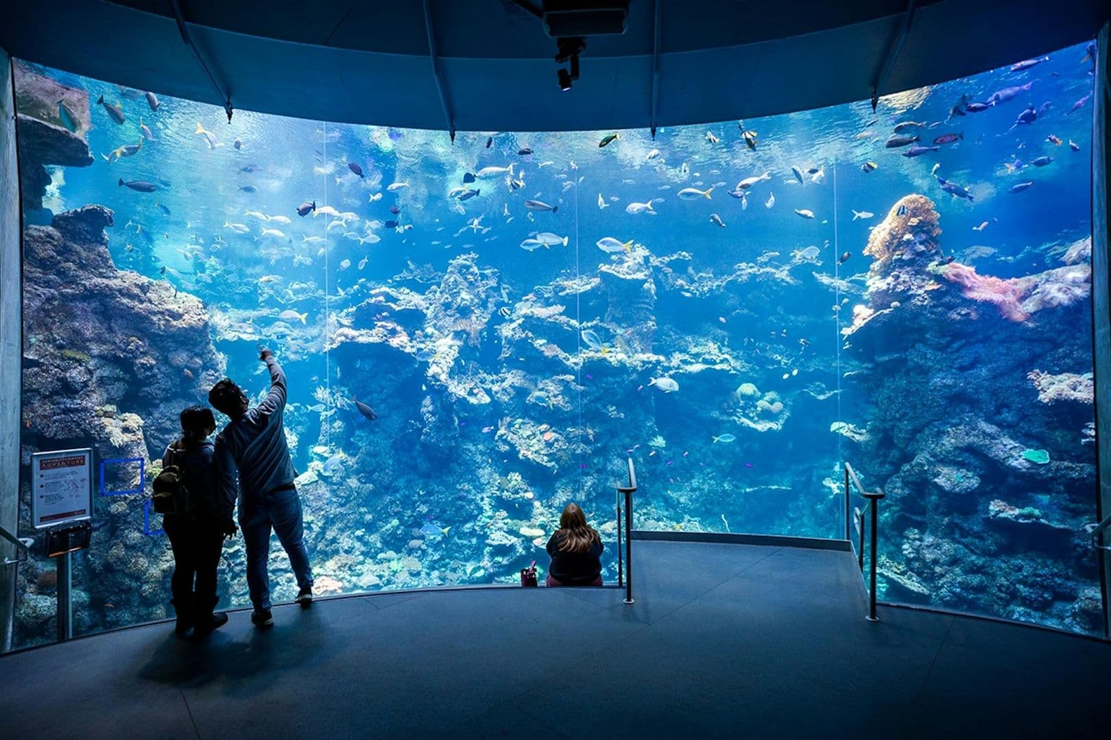 California Academy of Sciences: Entry Ticket