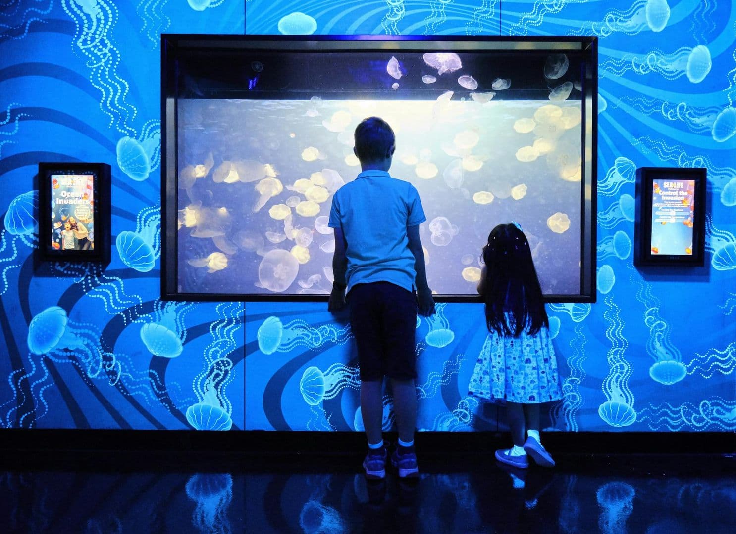 SEA LIFE Melbourne Aquarium: Entry Ticket