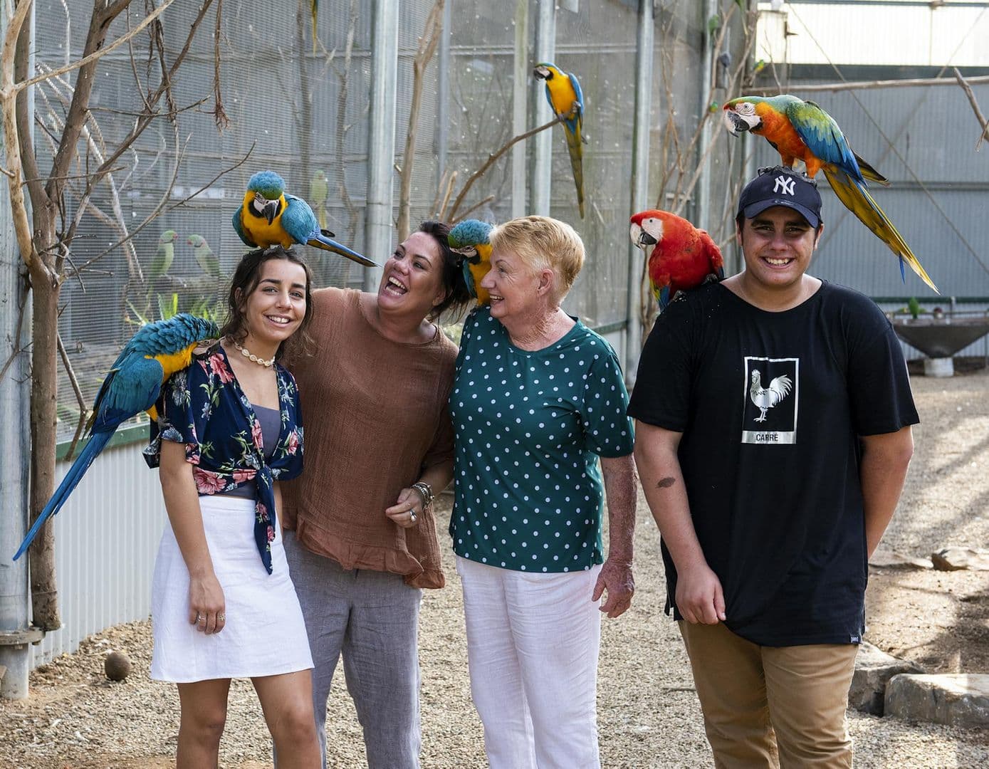 Maleny Botanic Gardens & Bird World: Entry Ticket