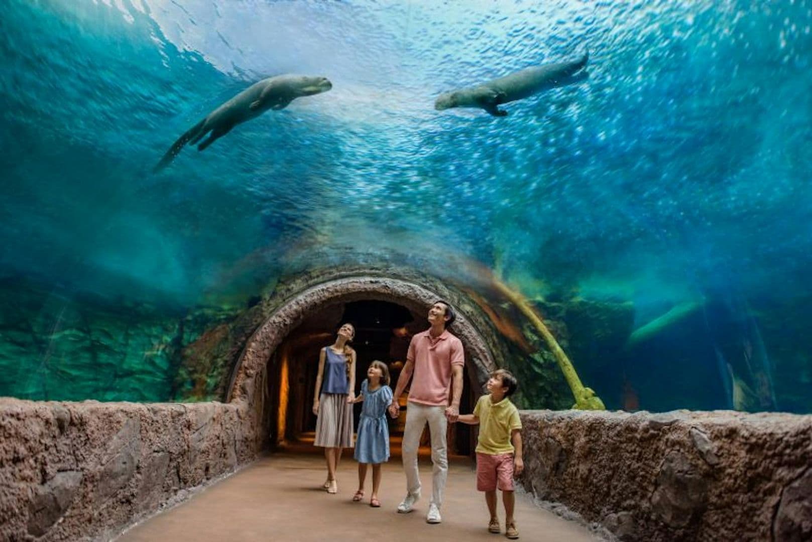 Singapore River Wonders: Entry Ticket