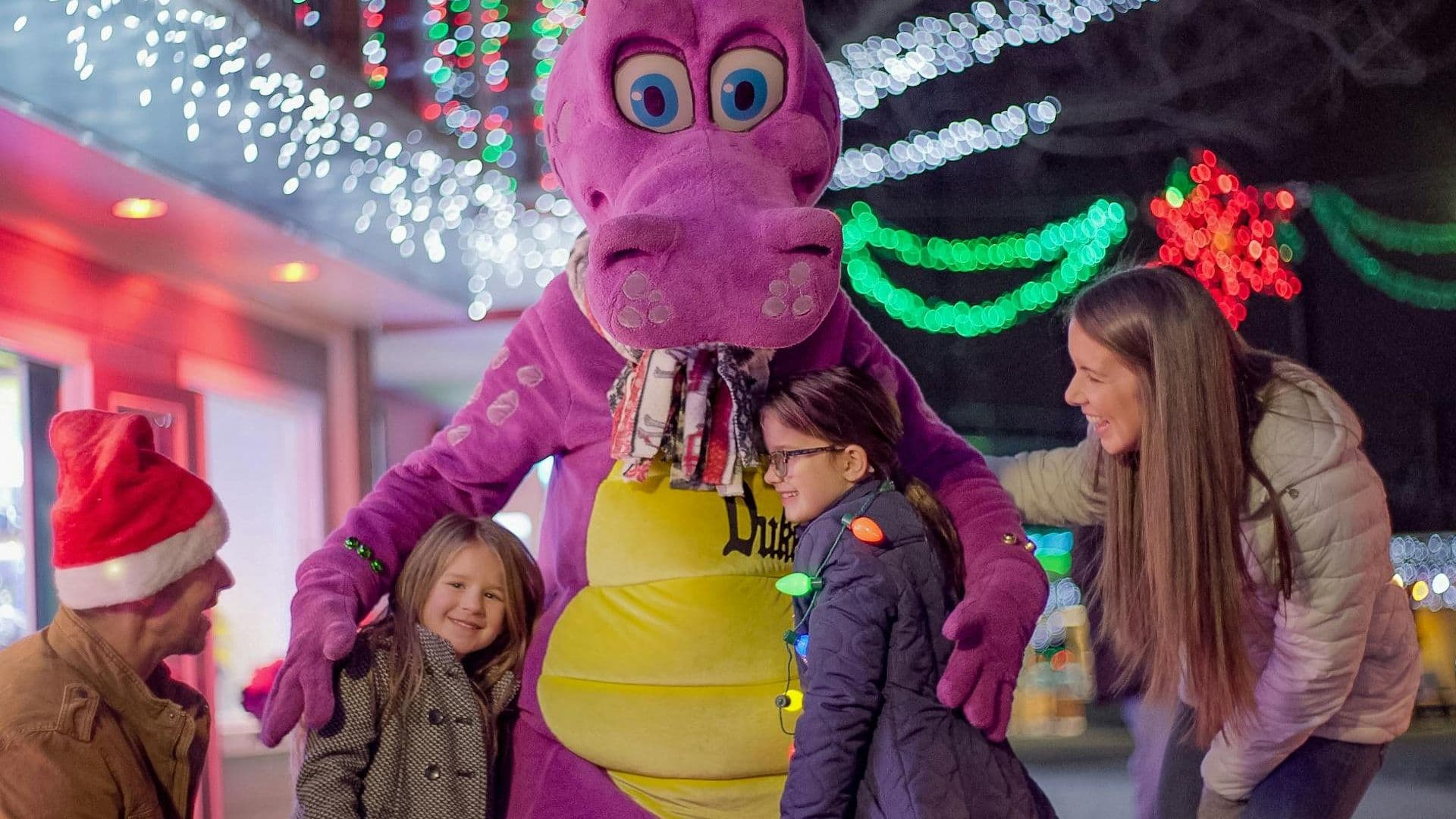 Dutch Winter Wonderland: Entry Ticket