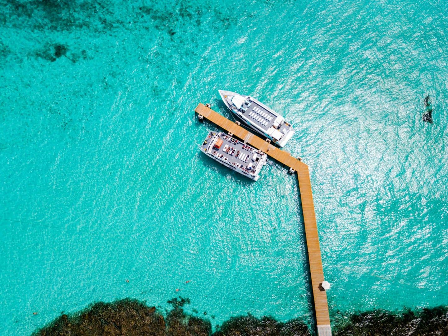 Garrafon Natural Reef Park: Fast Track Ticket
