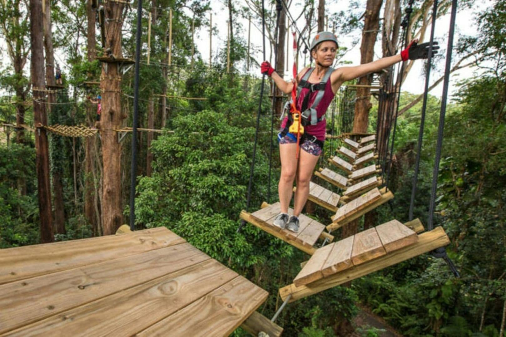 TreeTop Challenge Sunshine Coast: входной билет