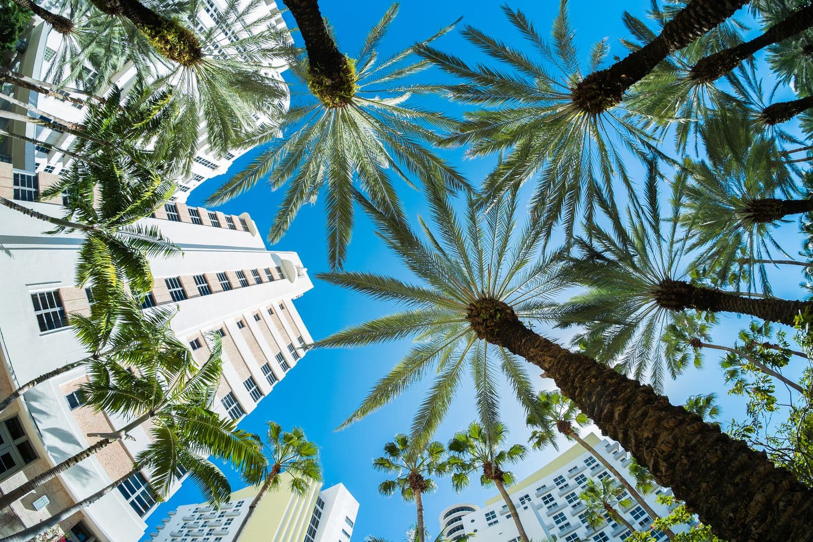 Miami: Art Deco Heritage of South Beach Audio Tour