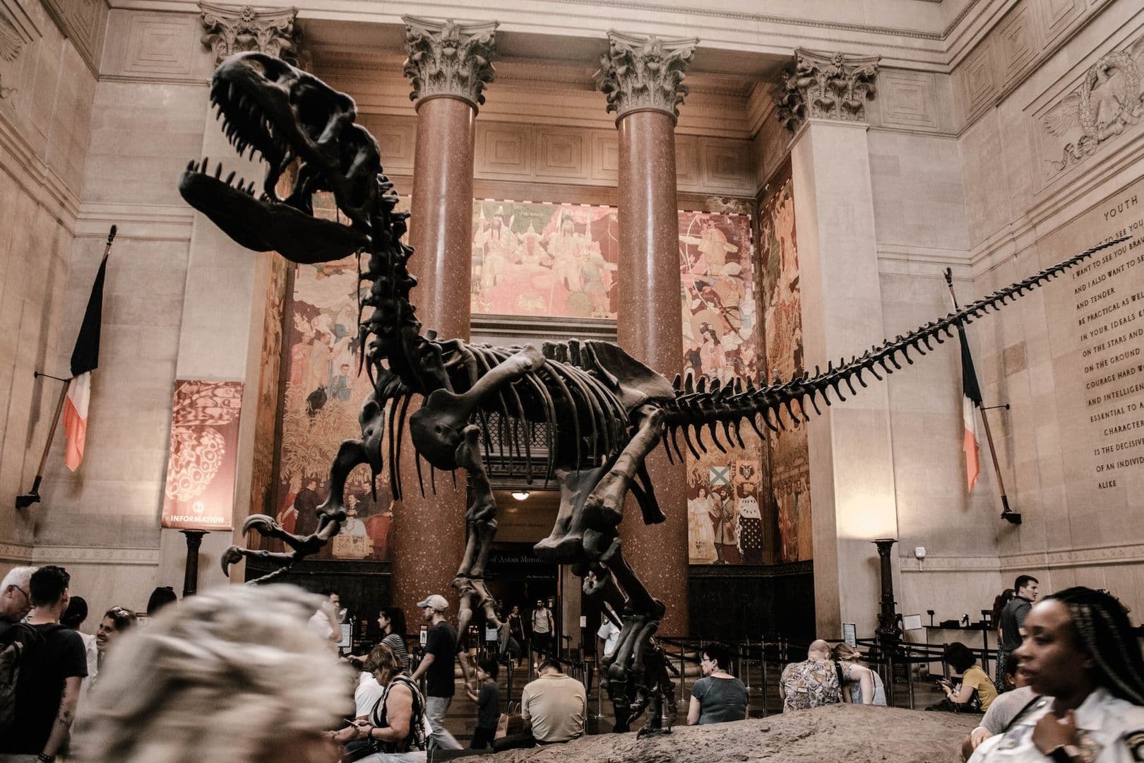 New York City: American Museum of Natural History Audio Tour