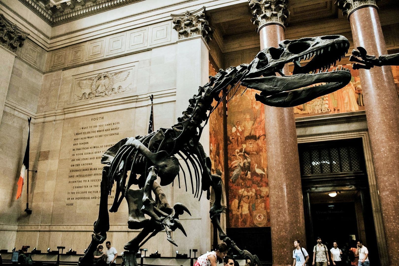 Biglietto per il Museo Americano di Storia Naturale e tour audio all'interno dell'app