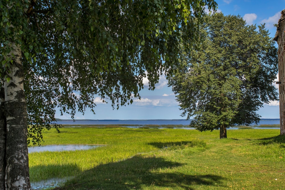Круиз Юрий Никулин