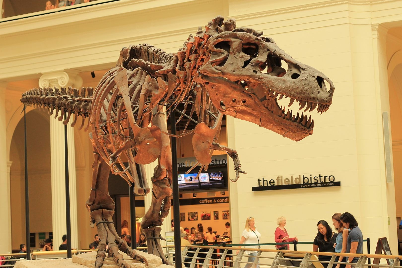 Chicago: Field Natuurhistorisch Museum Kaartje en Audiotour