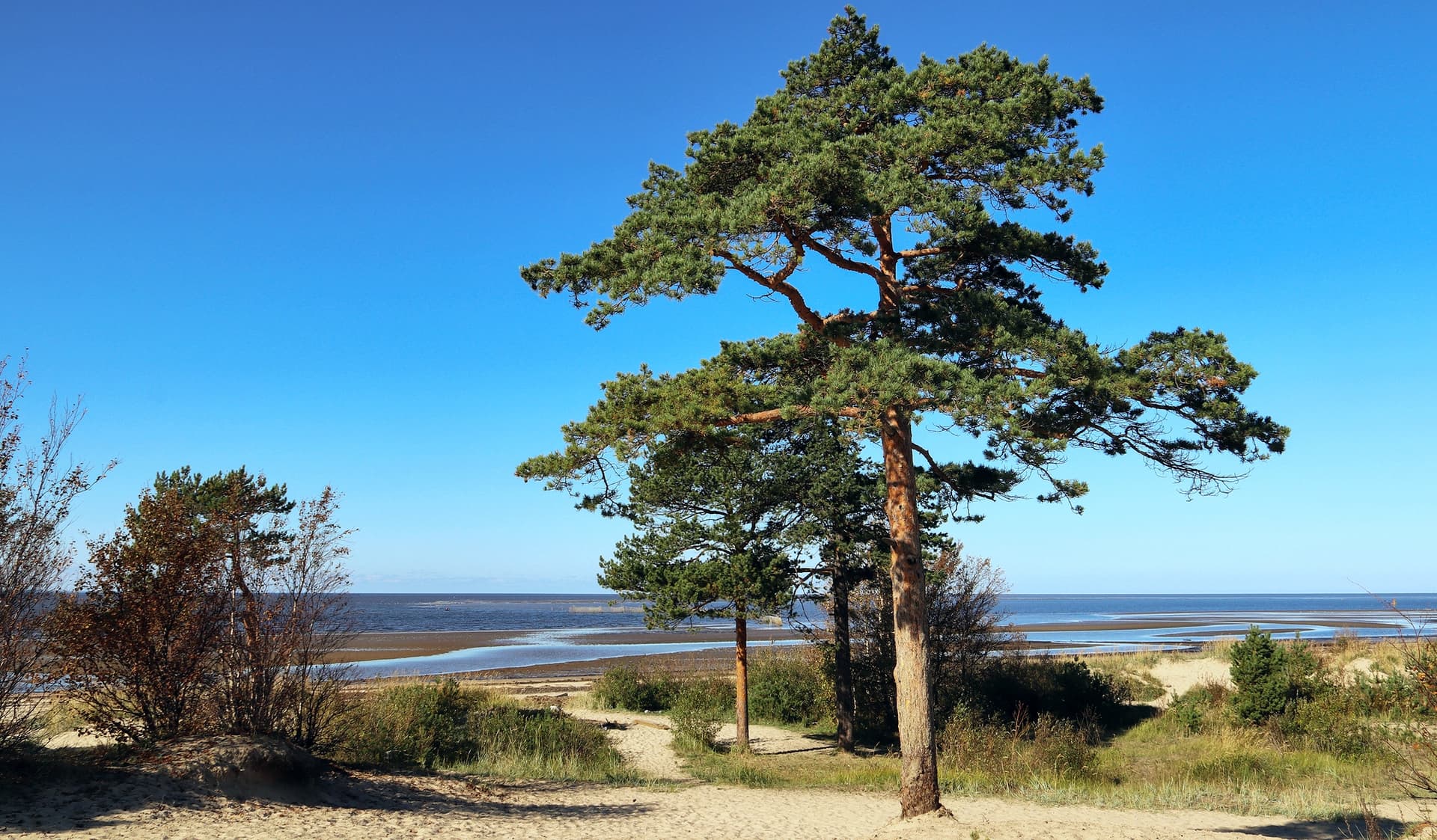 Северодвинск и Белое море
