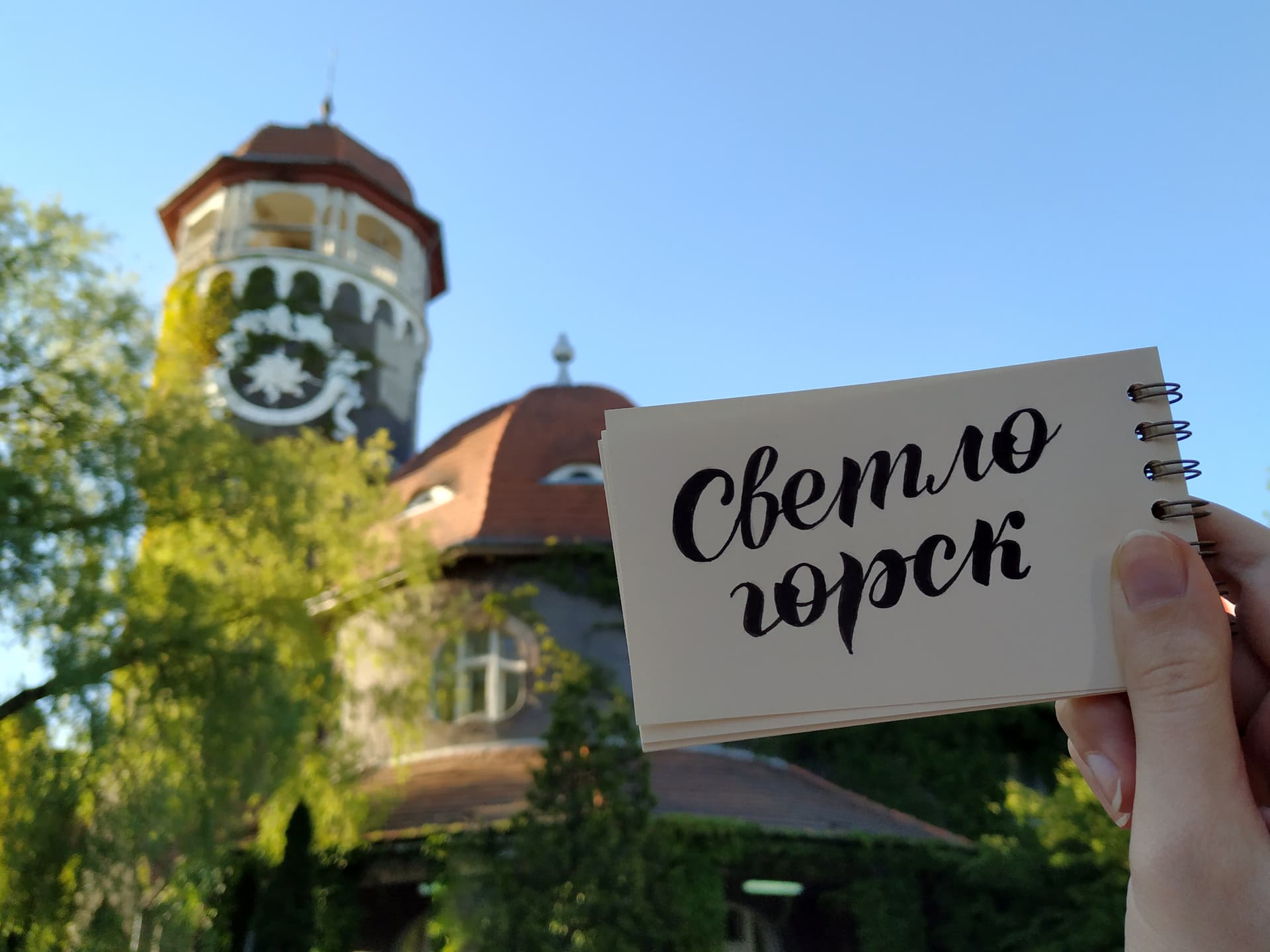Отпуск в Калининграде и Светлогорске с экскурсиями на выбор