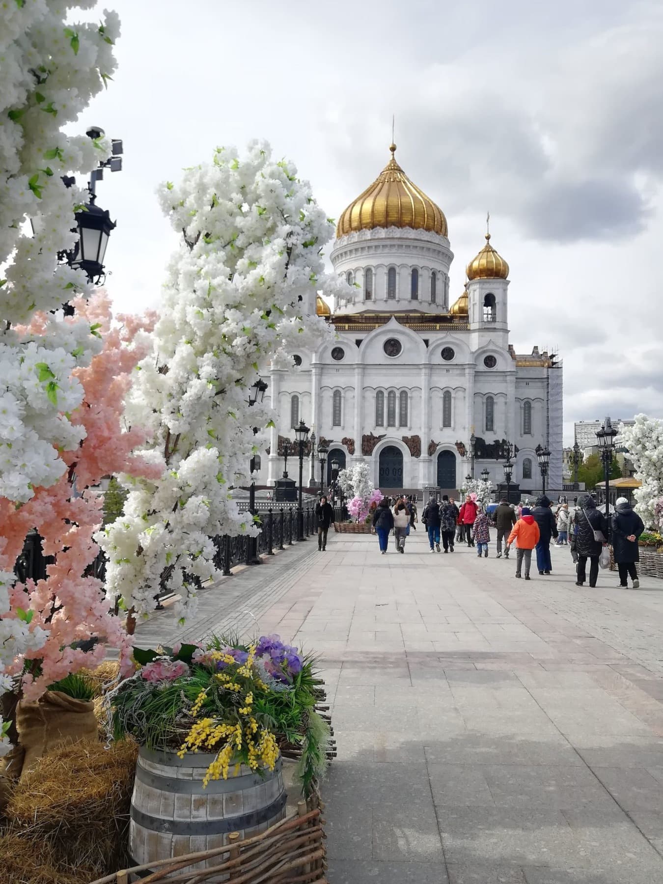 Прогулка от храма Христа Спасителя до Музеона