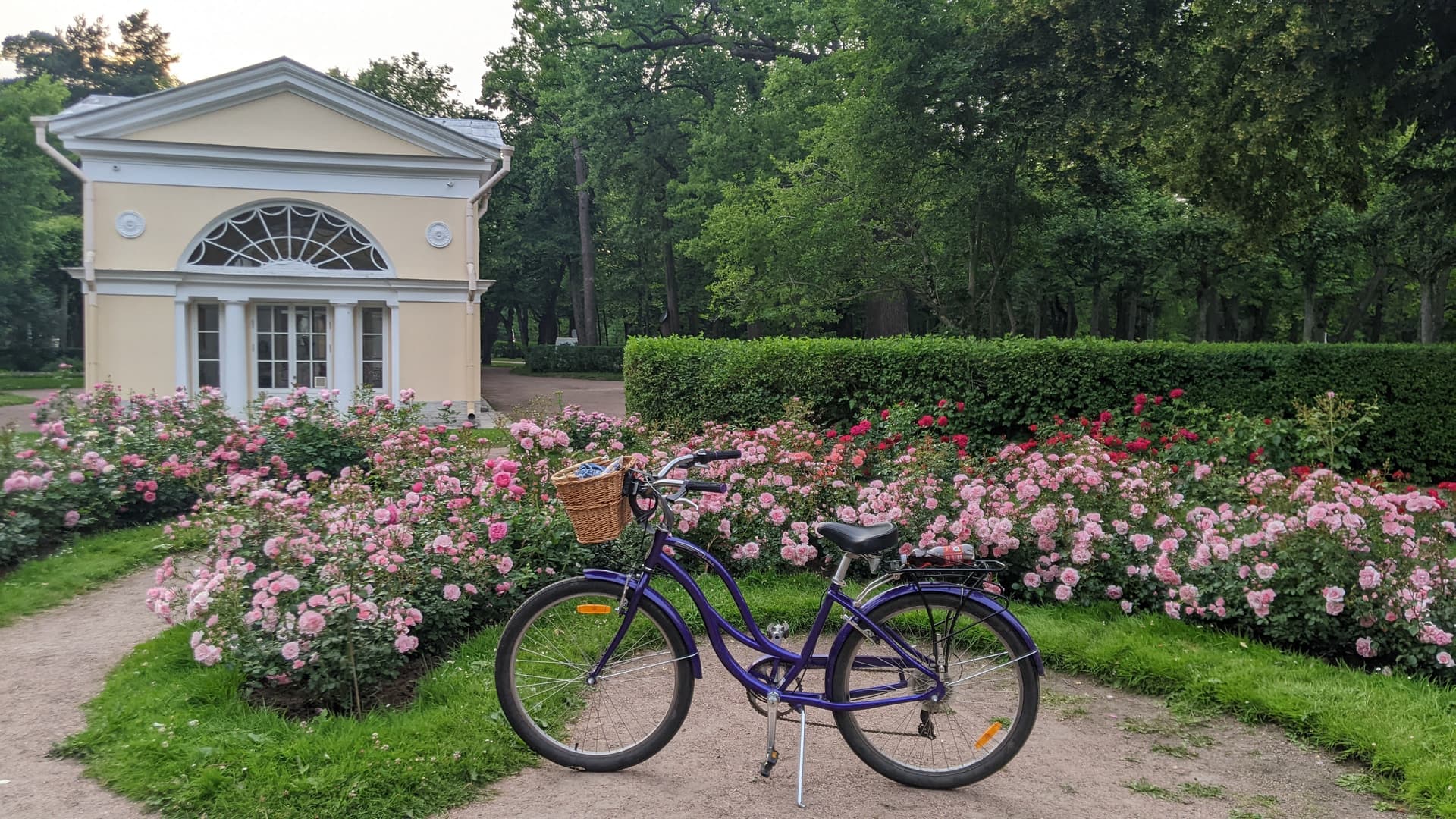 Неповторимое очарование Павловского парка: экскурсия на велосипеде