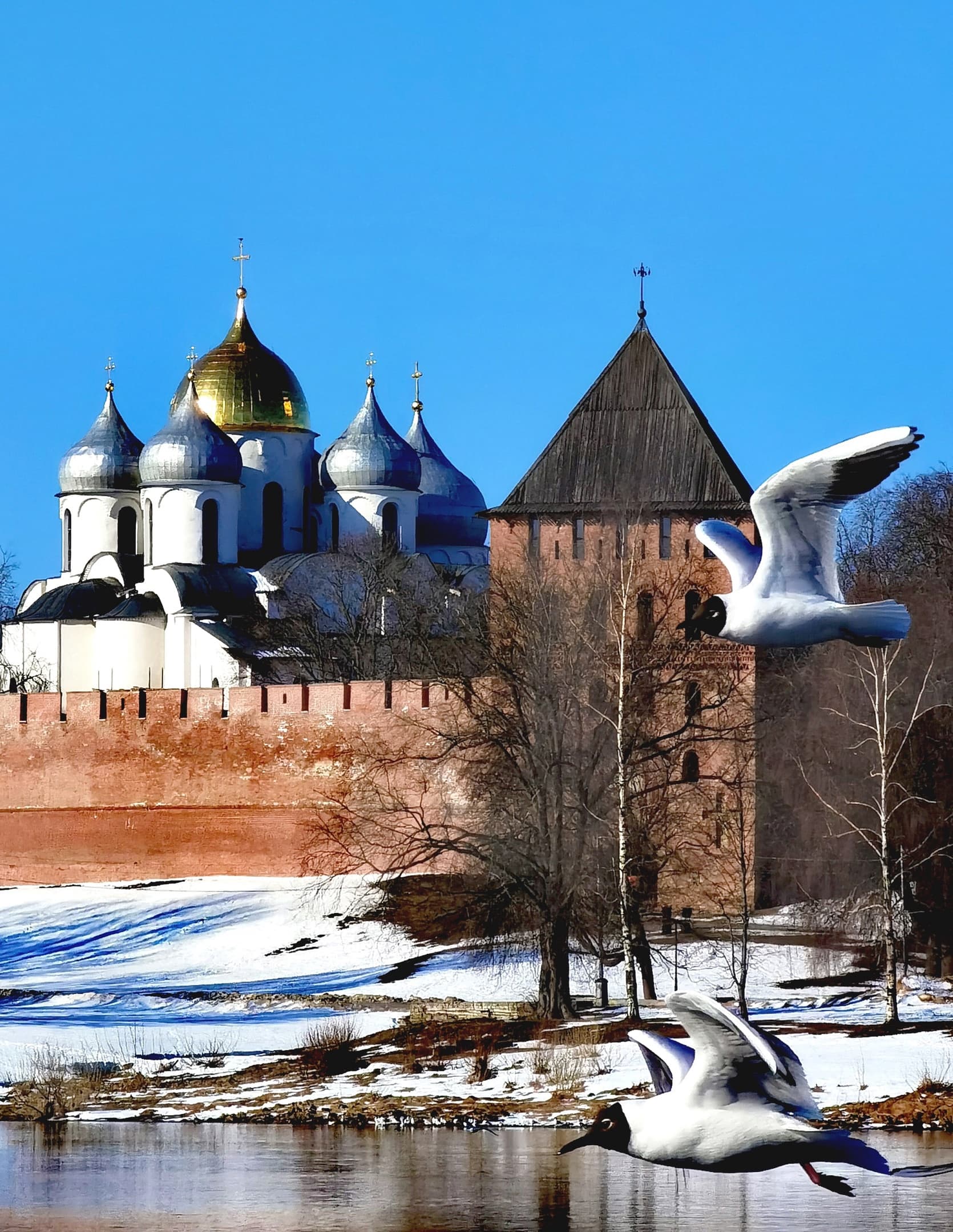 Два центра Великого Новгорода: кремль и Ярославово дворище