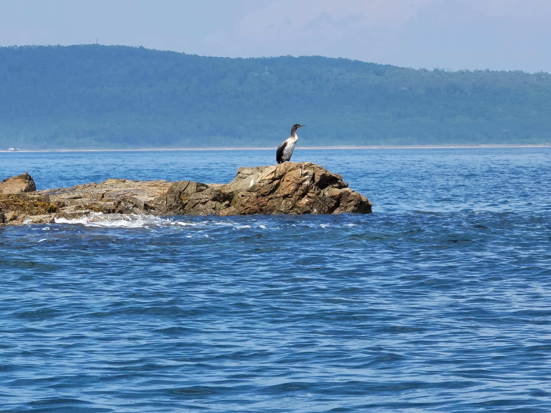 По Японскому морю на моторной лодке!