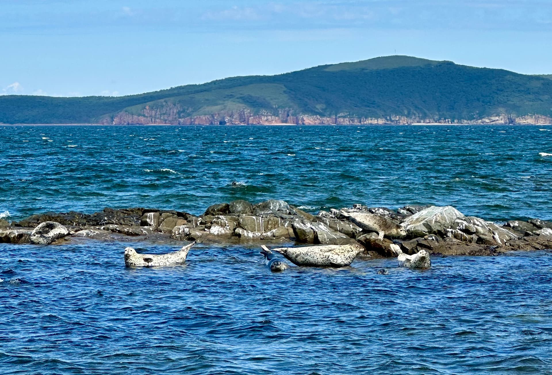 Морское путешествие по островам Японского моря