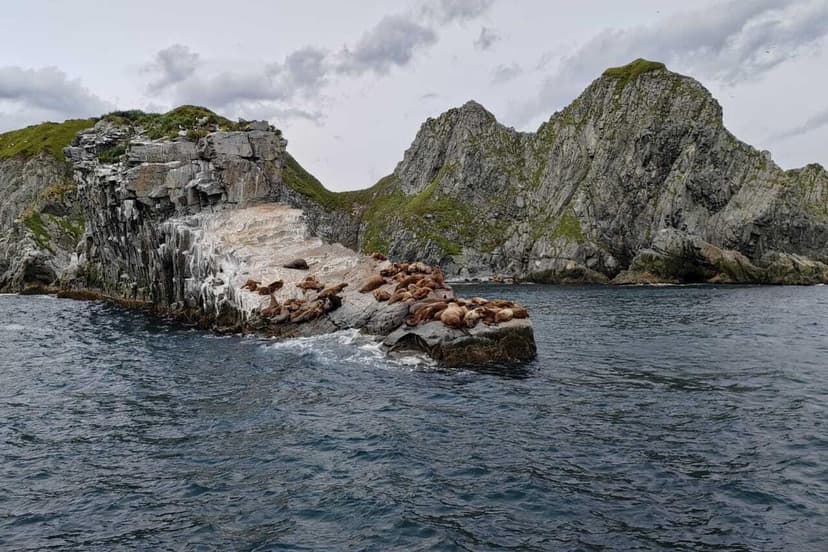 Морская прогулка к острову Старичков. Обзорная экскурсия по Петропавловску-Камчатскому