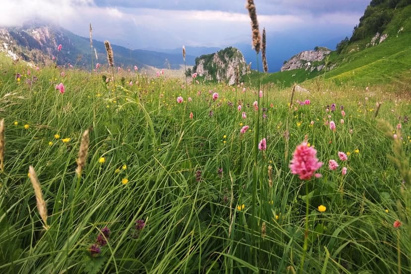 Треккинг по плато Лаго-Наки, Каменное море